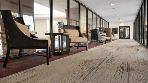 Carpet-Steam-Cleaning--in-Aurora-Colorado-carpet-steam-cleaning-aurora-colorado.jpg-image